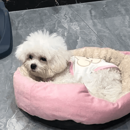 Panier pour chien avec petit bichon