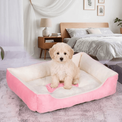 Panier pour chien avec un chiot bichon
