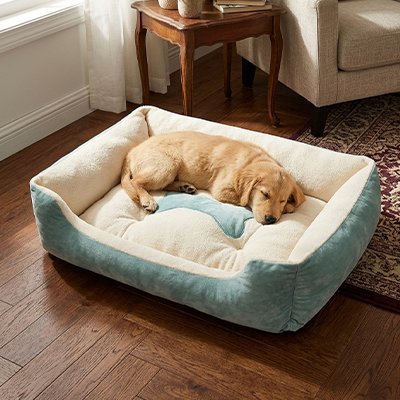 Panier pour chien avec un chiot qui dort