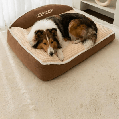 Panier pour chien avec un colley