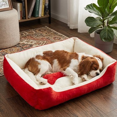 Panier pour chien et King Charles qui dort