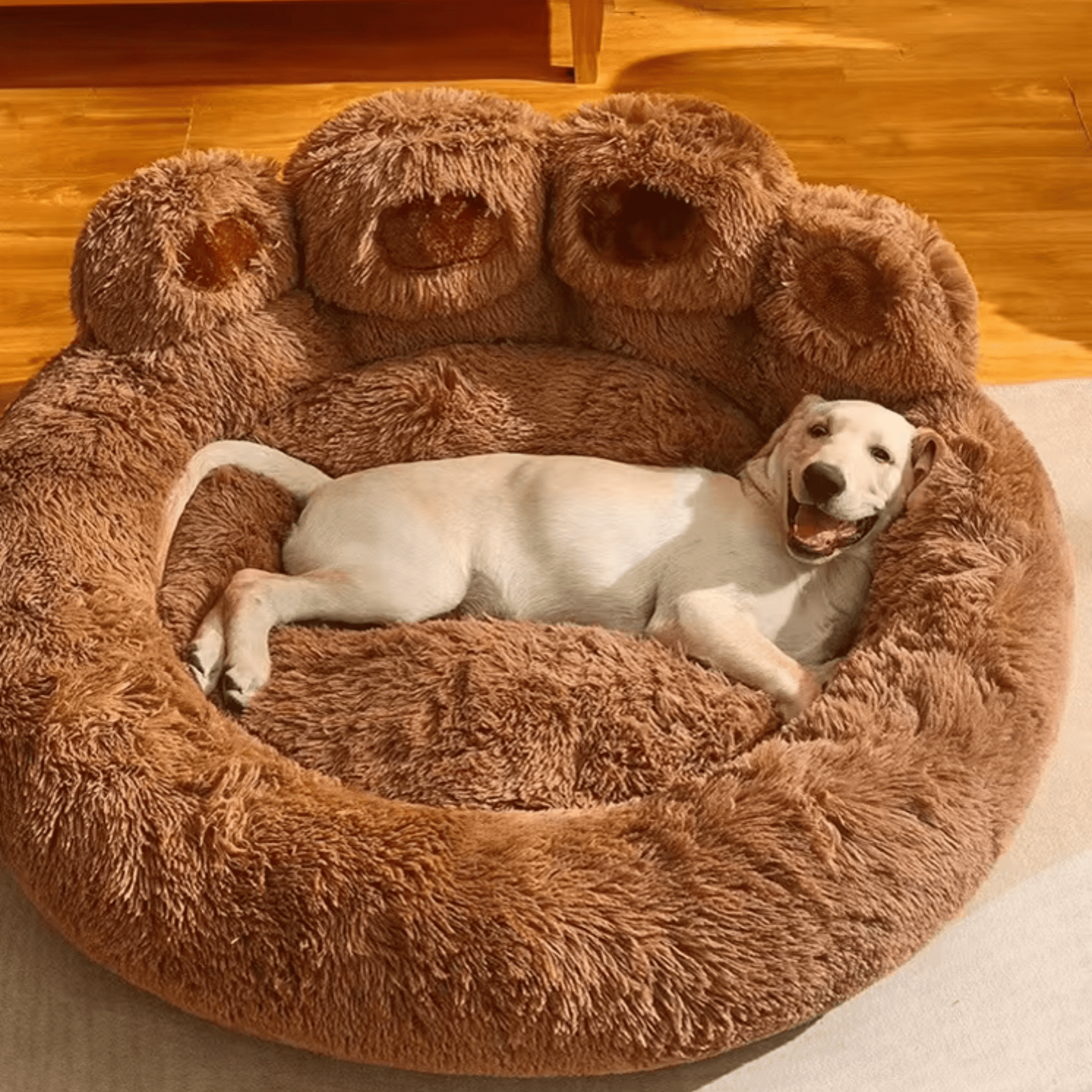 Panier pour chien labrador heureux