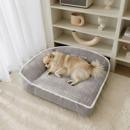 Panier pour chien avec chien qui dort